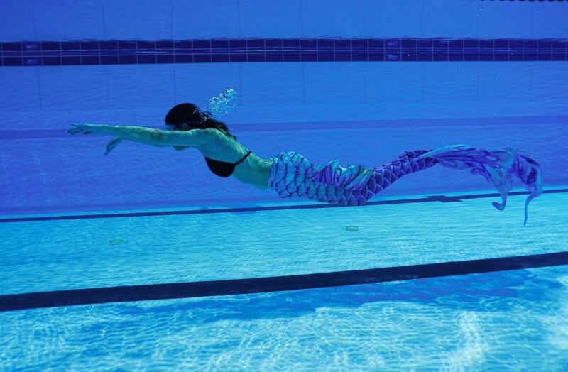 自由潛水室內錦標賽台中北區游泳館登場　菁英泳將競逐國手資格