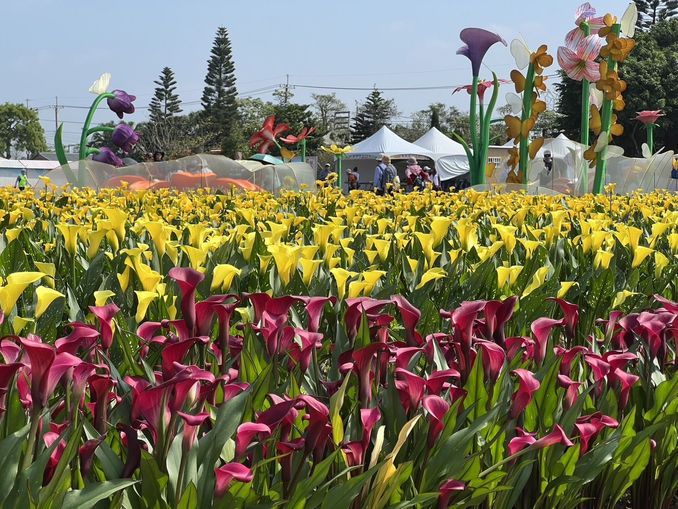 2024溪海花卉農遊趣展延至4月14日　花卉持續綻放把握賞花機會