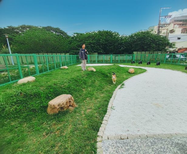 民眾日益重視寵物權益　桃市府陸續設置寵物友善公園