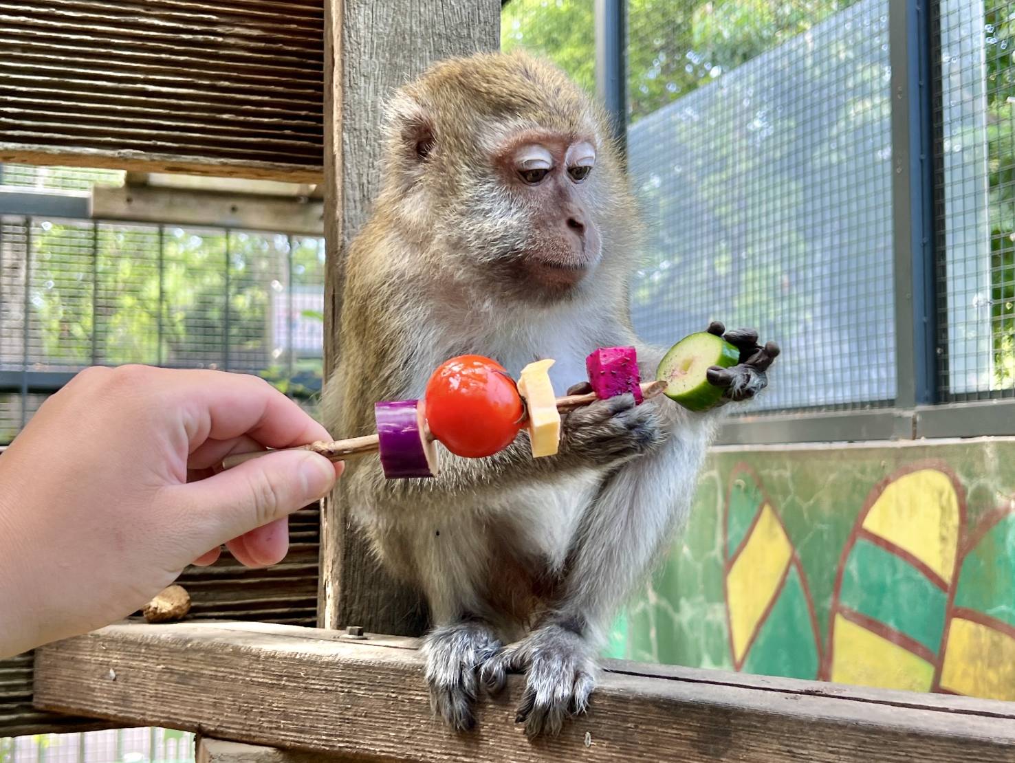 壽山動物園創意送禮  動物大享中秋野營趴