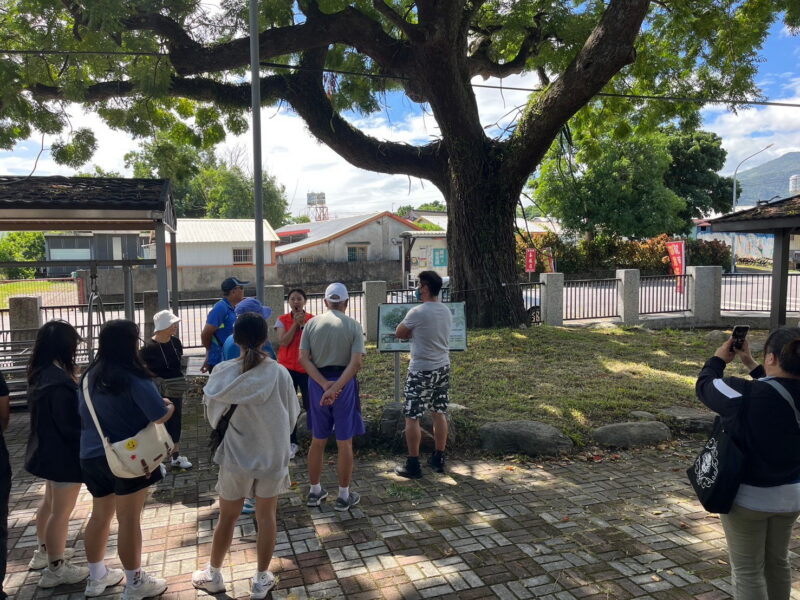 圖文：全新遊輪式台灣好行縱谷鹿野線發車了 請上車之慈濟樹。