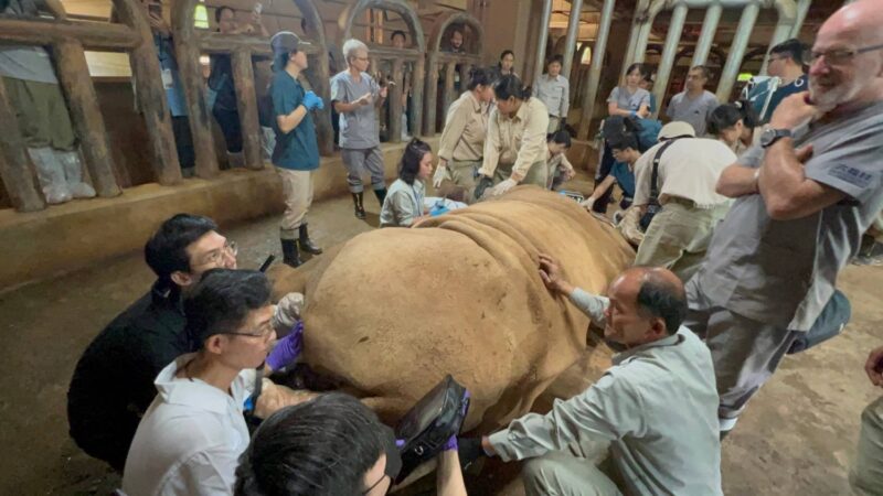 榮獲國際肯定六福村成為東南亞SEAZA協會會員　攜手共同促進國際動物交流