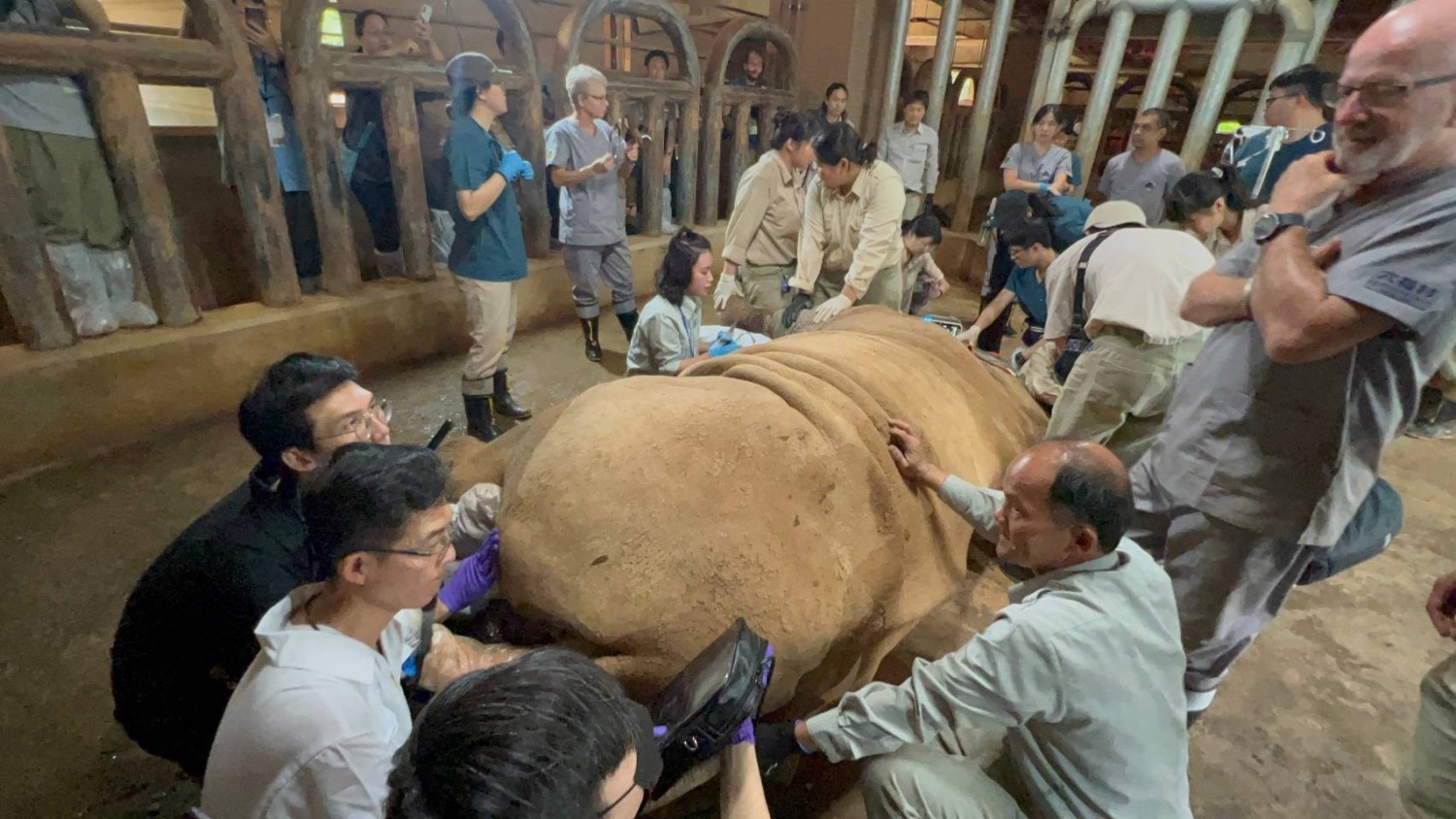 榮獲國際肯定六福村成為東南亞SEAZA協會會員　攜手共同促進國際動物交流