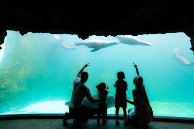 >遠雄海洋公園_夜未眠_夜探水族館