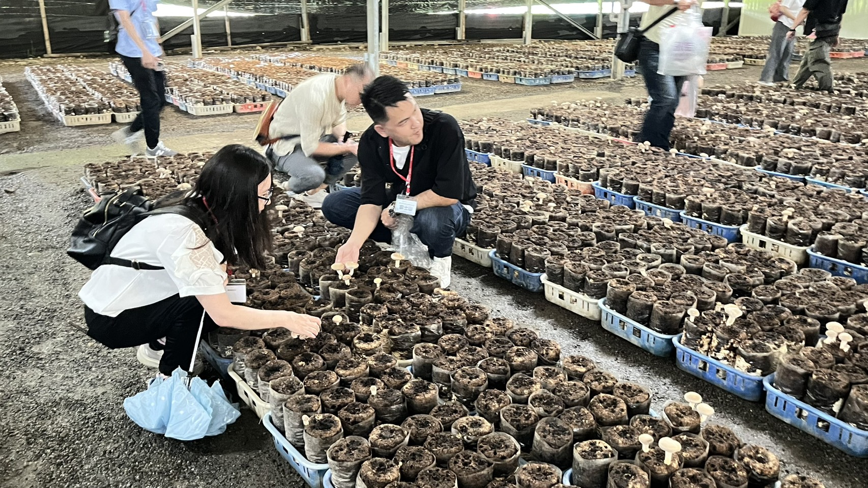 圖 從產地到餐桌的食農體驗-好玩又有趣 記者王偉翻攝