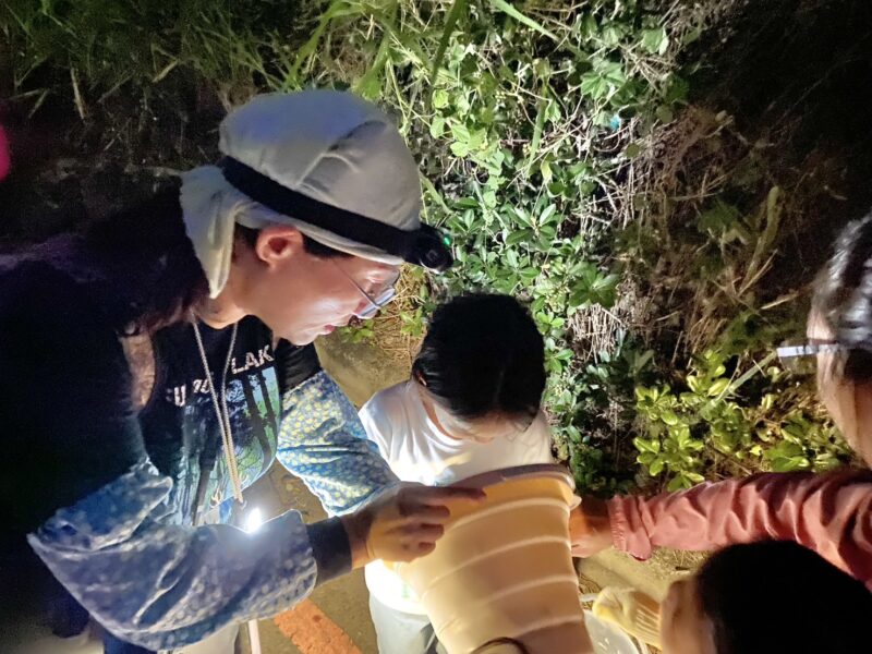 圖 巡守過程中將道路上發現的陸蟹拾起 記者王偉翻攝