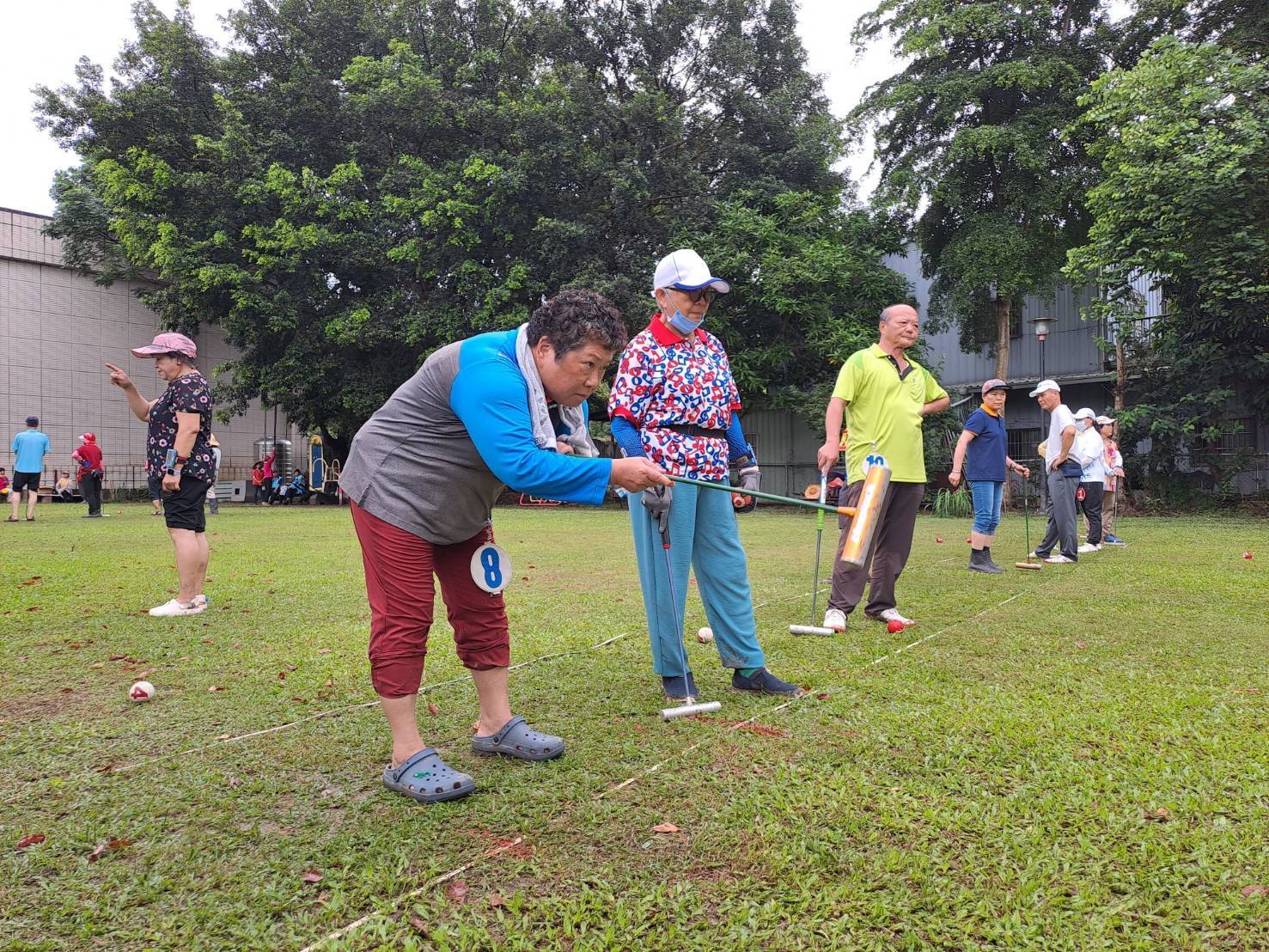 圖 槌球運動結合肢體協調與策略思考-是保持青春活力的最佳方式 記者王偉翻攝