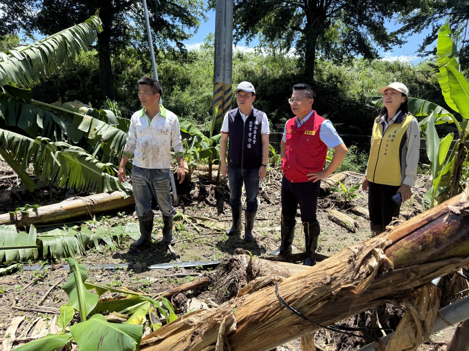 楊柳颱風重創農田 高雄農業局彈性延長救助申請期限