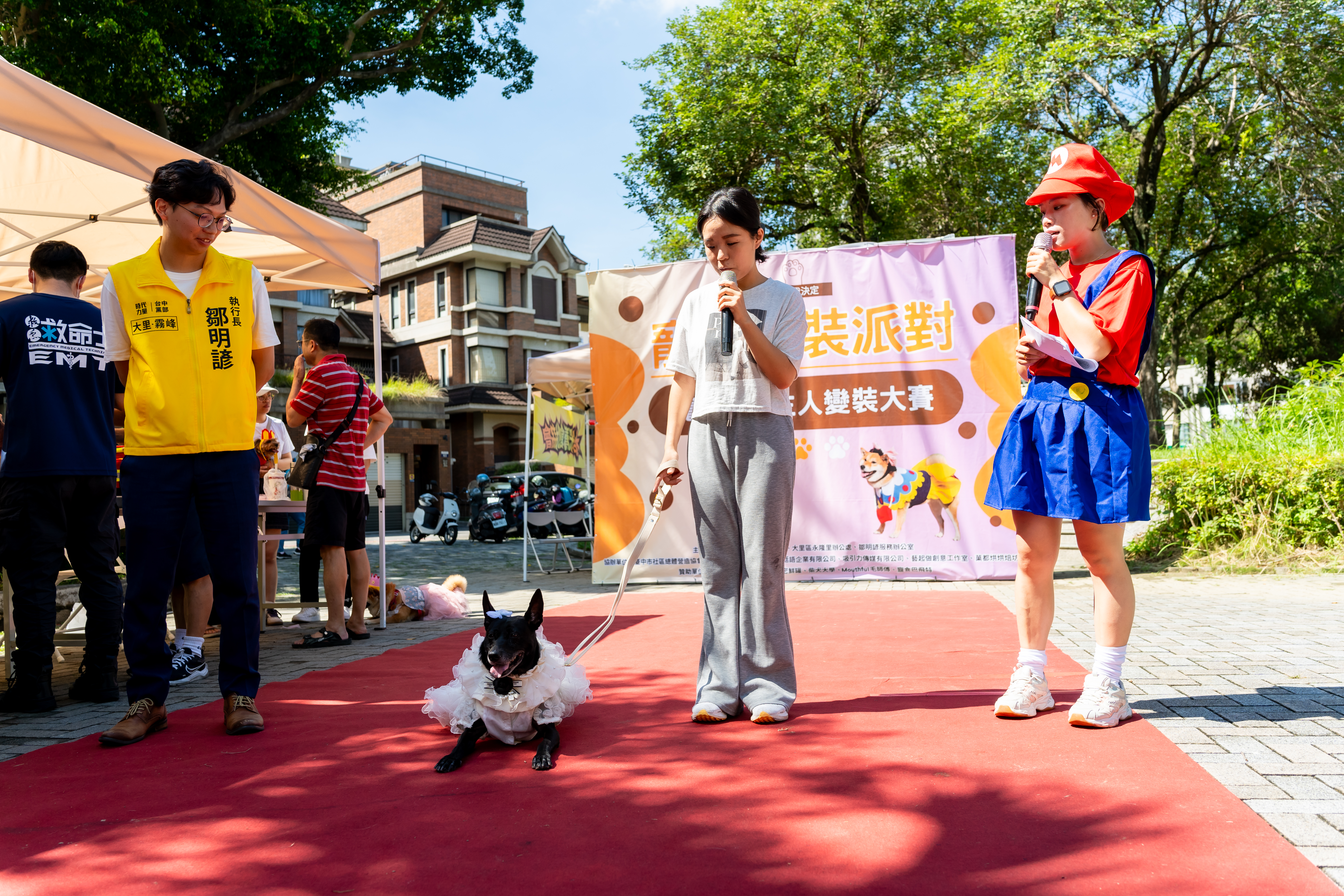 圖 現場毛小孩變裝秀 記者王偉翻攝
