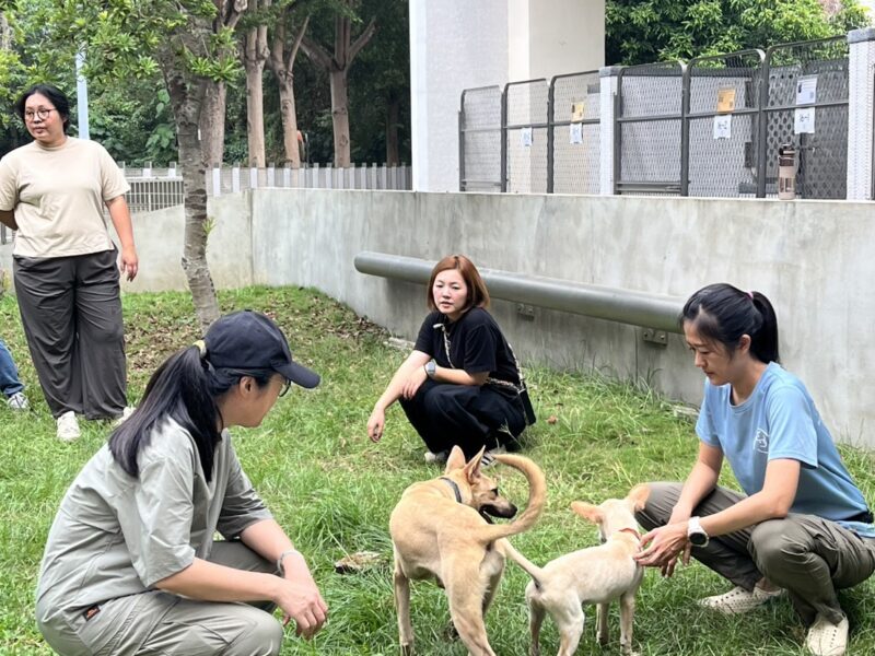 圖 找回助人初衷與療癒力量-社工自我覺察療癒工作坊-動物之家開課 記者王偉翻攝