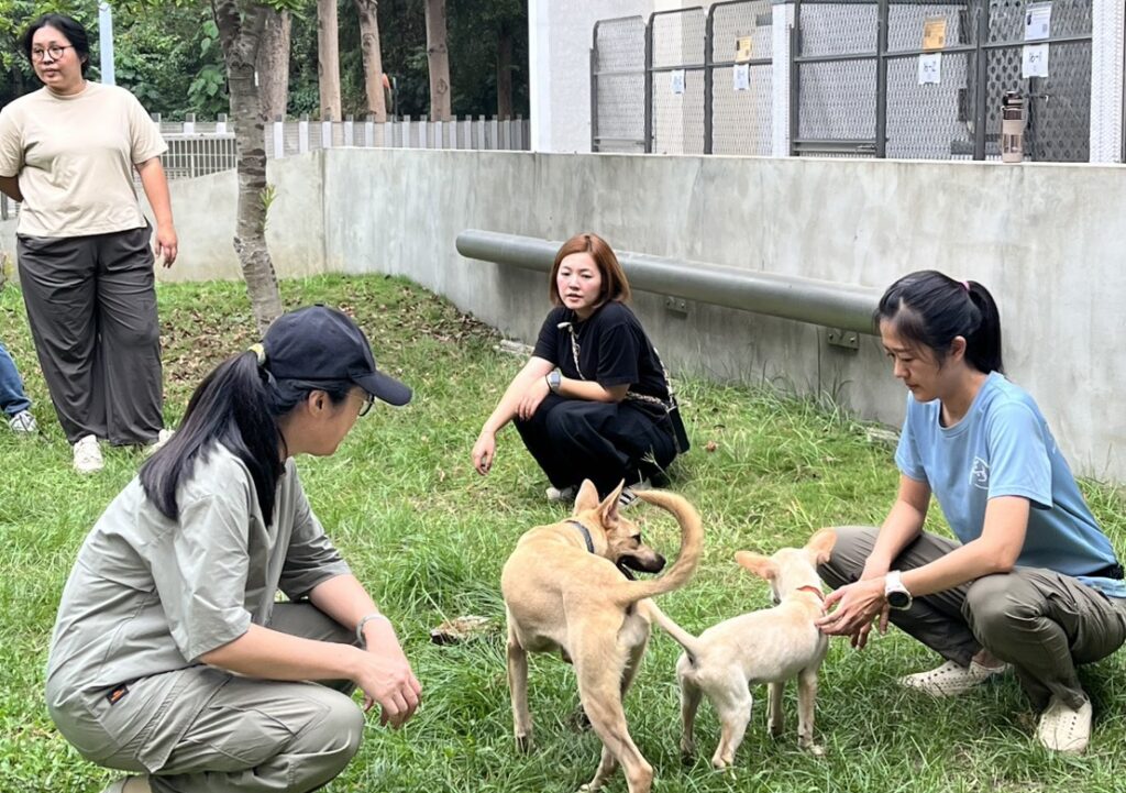 圖 找回助人初衷與療癒力量-社工自我覺察療癒工作坊-動物之家開課 記者王偉翻攝
