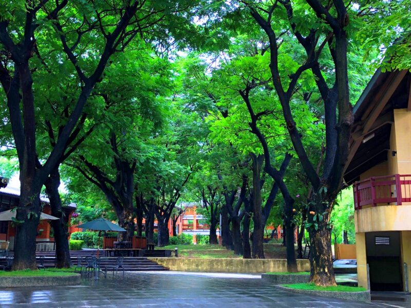 「2025 客畫入微．親子共畫活動」11/15熱鬧登場