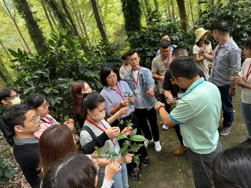 圖 參加者參觀咖啡園區感受大自然的芬芳並親手採集咖啡苗 記者王偉翻攝