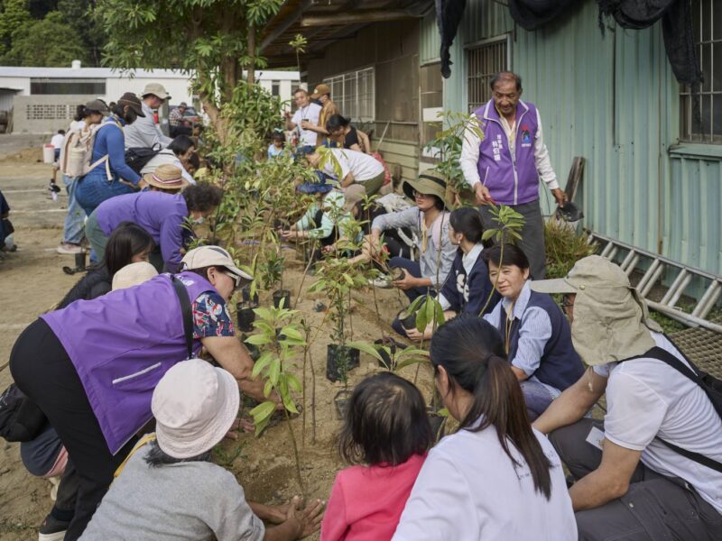 Less Concrete, More Forests：還地於森林