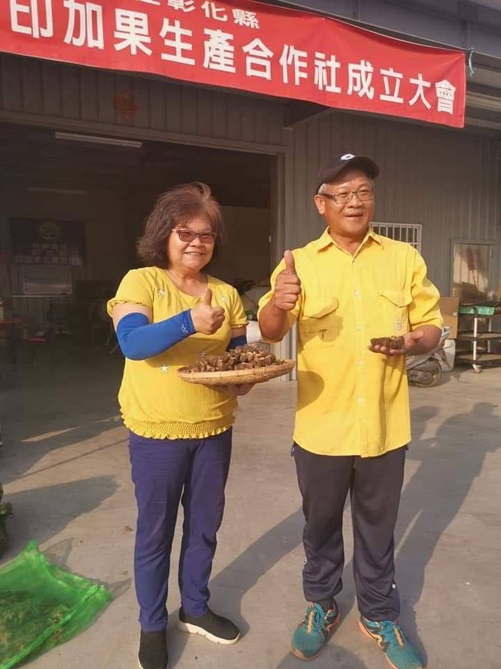 圖文：吳泰億以愛為起點　打造台灣印加果產業鏈 。