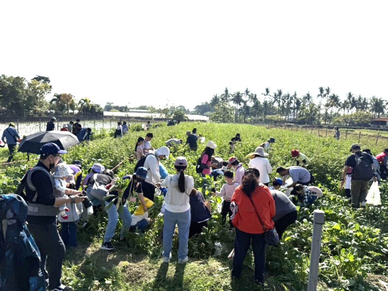 高雄客委會舉辦「蘿蔔仔逃走中」 百名親子體驗美濃食農教育