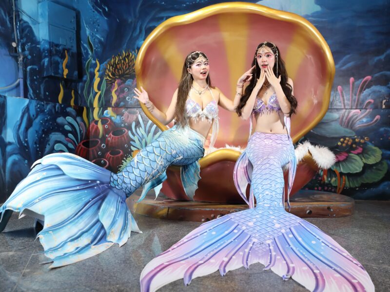 海洋公園23周年慶本月限定優惠最強回饋一次到位