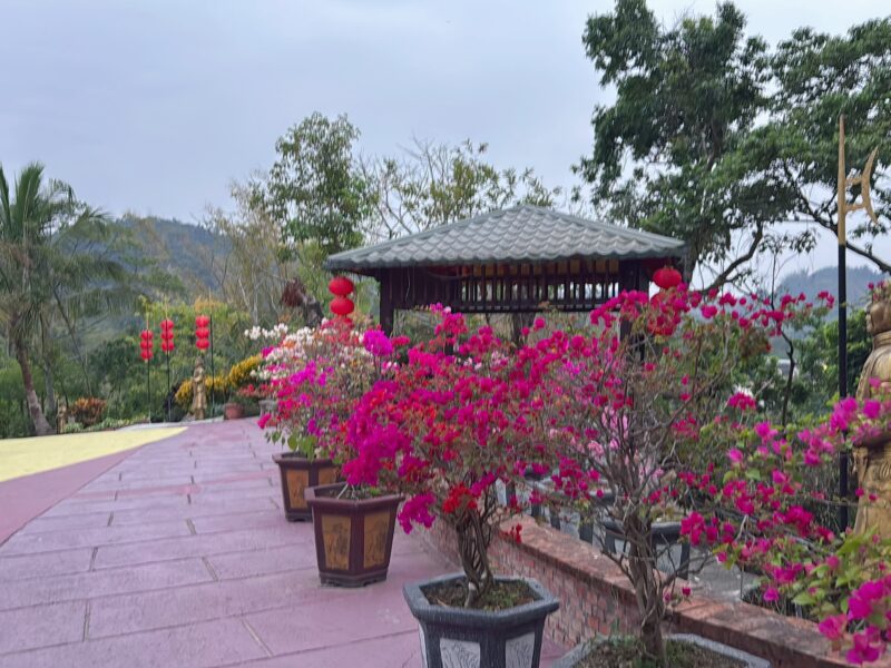 圖文：乾隆皇騎白馬登臺灣萬里長城  白河木棉花季最吸睛。